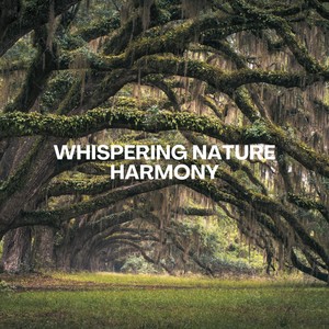 Whispering Nature Harmony