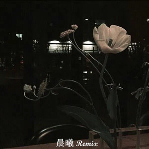 我好想你 (晨曦DJ版)