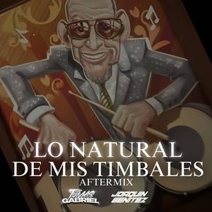 Lo Natural De Mis Timbales (AFTERMIX) (feat. Joaquin Benitez)