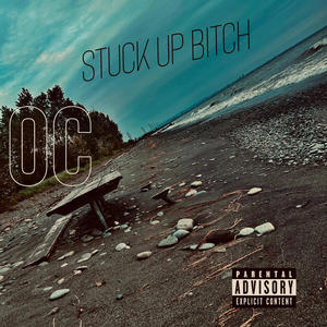 Stuck Up ***** (Explicit)