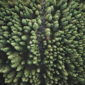 Under Heaven, Above the Earth