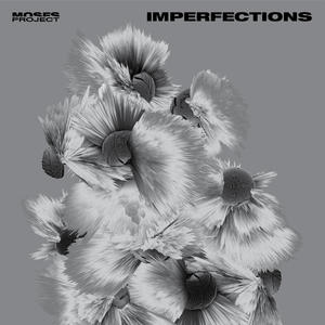 Imperfections (Moses Project)