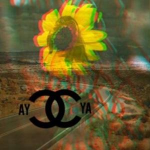 C YA(feat. Danny $pace) (Explicit)