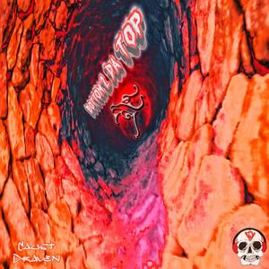 Bottom 2 Da Top (Explicit)