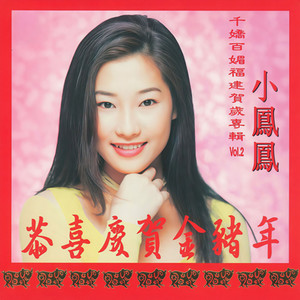 佳节遇良缘封面