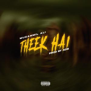 Theek Hai (Explicit)