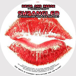 Shpangled & PGE - Drum & Break Vol2