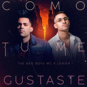 Como Tú Me Gustaste (feat. Lenier)