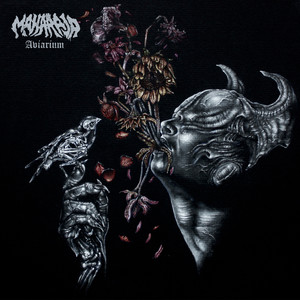 Ballad of the Flightless Bird