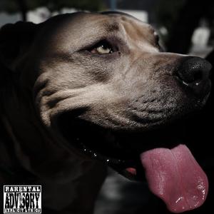 FIRST DAY OUT (FREESTYLE) (Explicit)