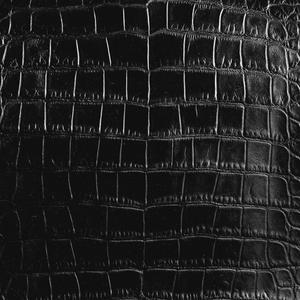 Alligator Skin (Explicit)