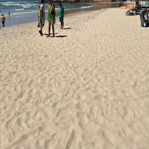 Dreams (feat. Vizcor) (Explicit)