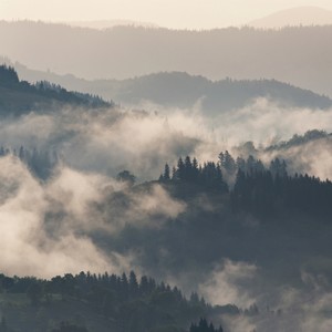 Empyrean Gardens (Original Mix)