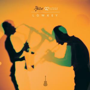 Lowkey (feat. Din Beats & African Lofi Girl) [African Lofi]
