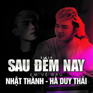 Sau Đêm Nay Em Về Đâu (Remix)