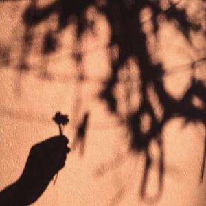 Flower To A Stranger