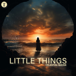 Little Things (Afro House)