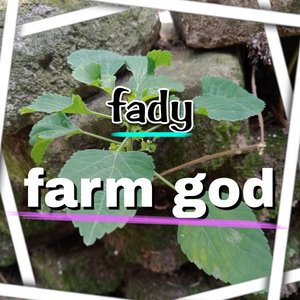 farm god machine over (Explicit)