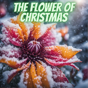 The Flower of Christmas