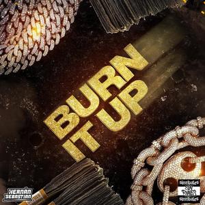 BURN IT UP (Radio Edit|Explicit)