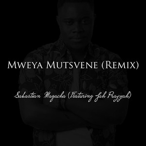 Mweya Mutsvene (Remix) [feat. Jah Prayzah]