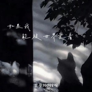 如果我能被世界爱着