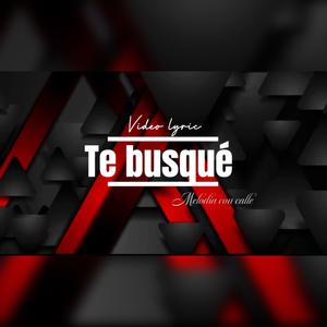 Te busque