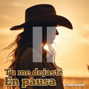 tu me dejaste en pausa