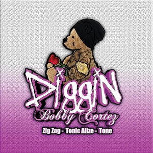 Diggin(feat. Zig Zag, Tonic Alize & Tone)