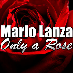 Only a Rose