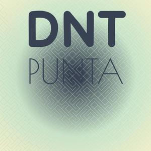 Dnt Punta