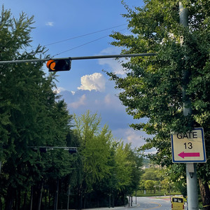 돌아가자 (Let's go back)