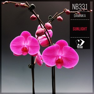 Sunlight (Original Mix)