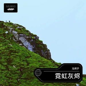 霓虹灰烬封面