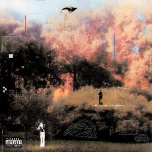 TRUST (feat. Yd.Rob & Havinrackz) (Explicit)