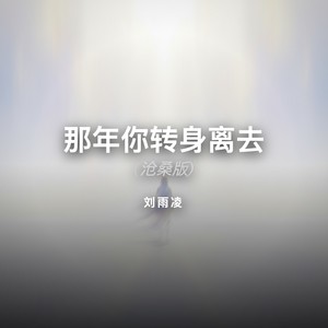 那年你转身离去 (沧桑版)