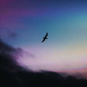 压力 (DJ混音版)