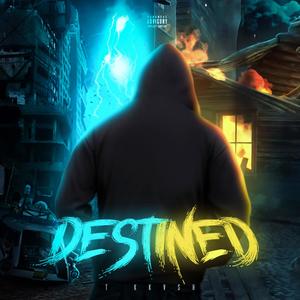 It was Destined (Explicit)