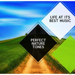 Perfect Nature Tones - Life at Its Best Music