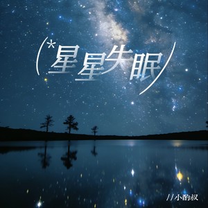 星星失眠（星星藏进星夜）