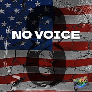 No Voice