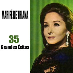 35 Grandes Éxitos