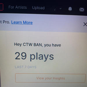 Gangstar lifestyle (Explicit)