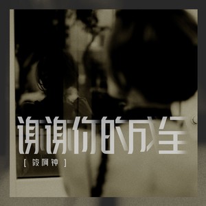 谢谢你的成全 (DJEva版)