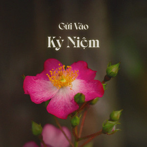 Gửi Vào Kỷ Niệm