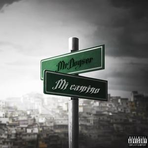 Mi Camino