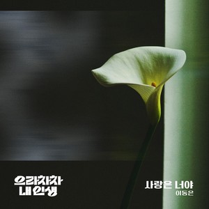 사랑은 너야 (Inst.)