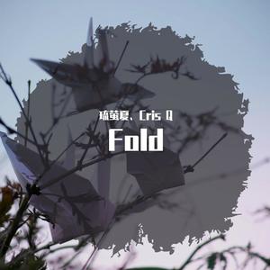 Fold