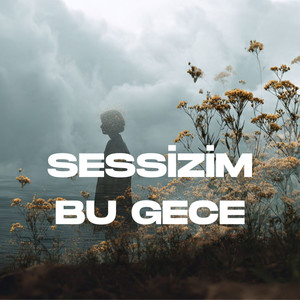 Sessizim Bu Gece