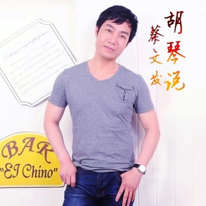 胡琴说